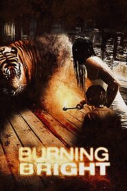 Burning Bright
