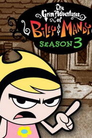 The Grim Adventures of Billy and Mandy: Season 3