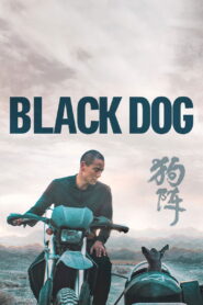 Black Dog