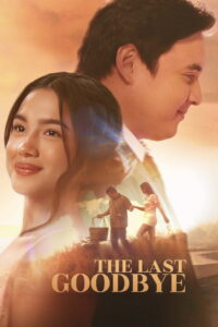 The Last Goodbye