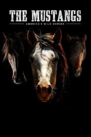 The Mustangs: America’s Wild Horses