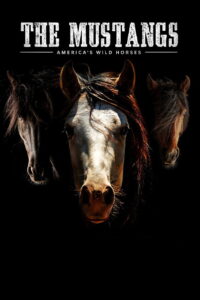 The Mustangs: America’s Wild Horses